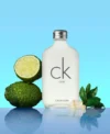 Calvin Klein CK One Eau de Toilette EDT Spray for Unisex