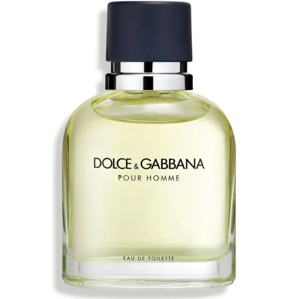 Dolce & Gabbana Pour Homme Eau de Toilette EDT Spray for Men