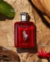 Ralph Lauren Polo Red Eau de Parfum EDP Spray for Men